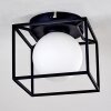 LEGANO Ceiling Light black, 1-light source