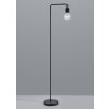 Trio Leuchten DIALLO Floor Lamp black, 1-light source
