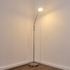 GULKANA Floor Lamp LED matt nickel, 1-light source, Colour changer