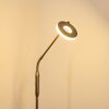 GULKANA Floor Lamp LED matt nickel, 1-light source, Colour changer