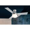 Globo ALANA fan stainless steel, matt nickel, 2-light sources, Remote control