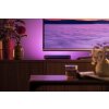 Philips HUE AMBIANCE WHITE & COLOR PLAY LIGHTBAR Twin pack base set LED black, 2-light sources, Colour changer