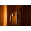Philips HUE AMBIANCE WHITE & COLOR PLAY LIGHTBAR Twin pack base set LED black, 2-light sources, Colour changer