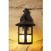 Brilliant Jordy outdoor wall light brown, rust-coloured, black, transparent, clear, 1-light source