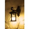 Brilliant Jordy outdoor wall light brown, rust-coloured, black, transparent, clear, 1-light source