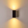 Outdoor Wall Light Nordborg LED black, 2-light sources