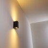 Outdoor Wall Light Nordborg LED black, 2-light sources