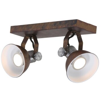 Steinhauer BROOKLY spotlight LED brown, 2-light sources