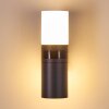Outdoor Wall Light Baulund LED anthracite, 1-light source, Motion sensor