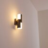 Outdoor Wall Light Baulund LED anthracite, 1-light source, Motion sensor