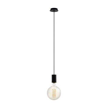Eglo POZUETA Pendant Light black, 1-light source