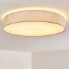 TALLABOA Ceiling light LED silver, 1-light source, Remote control