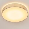 TALLABOA Ceiling light LED silver, 1-light source, Remote control