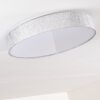 TALLABOA Ceiling light LED silver, 1-light source, Remote control