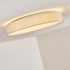 TALLABOA Ceiling light LED silver, 1-light source, Remote control