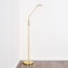 GULKANA Floor Lamp LED gold, 1-light source