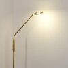 GULKANA Floor Lamp LED gold, 1-light source