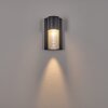 Bormio Outdoor Wall Light grey, silver, 1-light source