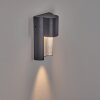 Bormio Outdoor Wall Light grey, silver, 1-light source