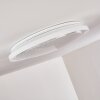 Rufi Ceiling Light LED white, 1-light source, Remote control