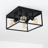 Ryssby Ceiling Light black, 4-light sources