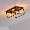 Ryssby Ceiling Light black, 4-light sources