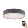 Paul Neuhaus Q-KIARA Ceiling light LED grey, 1-light source, Remote control