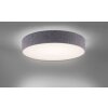 Paul Neuhaus Q-KIARA Ceiling light LED grey, 1-light source, Remote control
