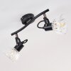 Bohemia Ceiling Light black, 2-light sources