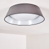 Negio Ceiling Light LED grey, white, 1-light source