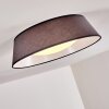 Negio Ceiling Light LED grey, white, 1-light source