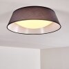 Negio Ceiling Light LED grey, white, 1-light source
