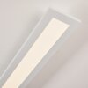 Ailik Ceiling Light LED white, 1-light source, Remote control