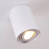 BETSIE Ceiling Light white, 1-light source
