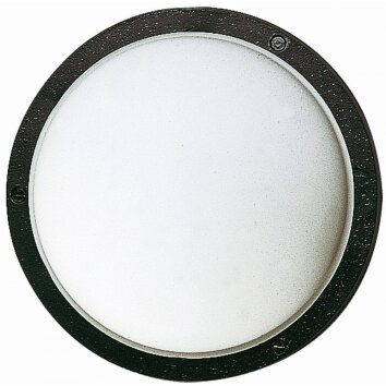 Albert 6028 outdoor wall light black, 1-light source