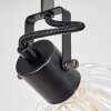 Bohemia Ceiling Light black, 3-light sources