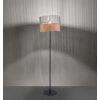 Leuchten-Direkt REED Floor Lamp black, 1-light source