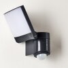 Outdoor Wall Light Larvik LED anthracite, 1-light source, Motion sensor