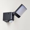 Outdoor Wall Light Larvik LED anthracite, 1-light source, Motion sensor