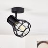 Gainesville Ceiling Light black, 1-light source