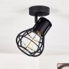 Gainesville Ceiling Light black, 1-light source