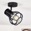 Gainesville Ceiling Light black, 1-light source