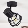 Gainesville Ceiling Light black, 1-light source