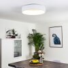 KAMPALA Ceiling Light LED white, 1-light source