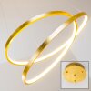 Stalon Pendant Light LED gold, 1-light source