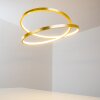 Stalon Pendant Light LED gold, 1-light source