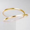Stalon Pendant Light LED gold, 1-light source