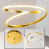 Stalon Pendant Light LED gold, 1-light source
