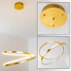 Stalon Pendant Light LED gold, 1-light source
