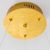 Stalon Pendant Light LED gold, 1-light source
